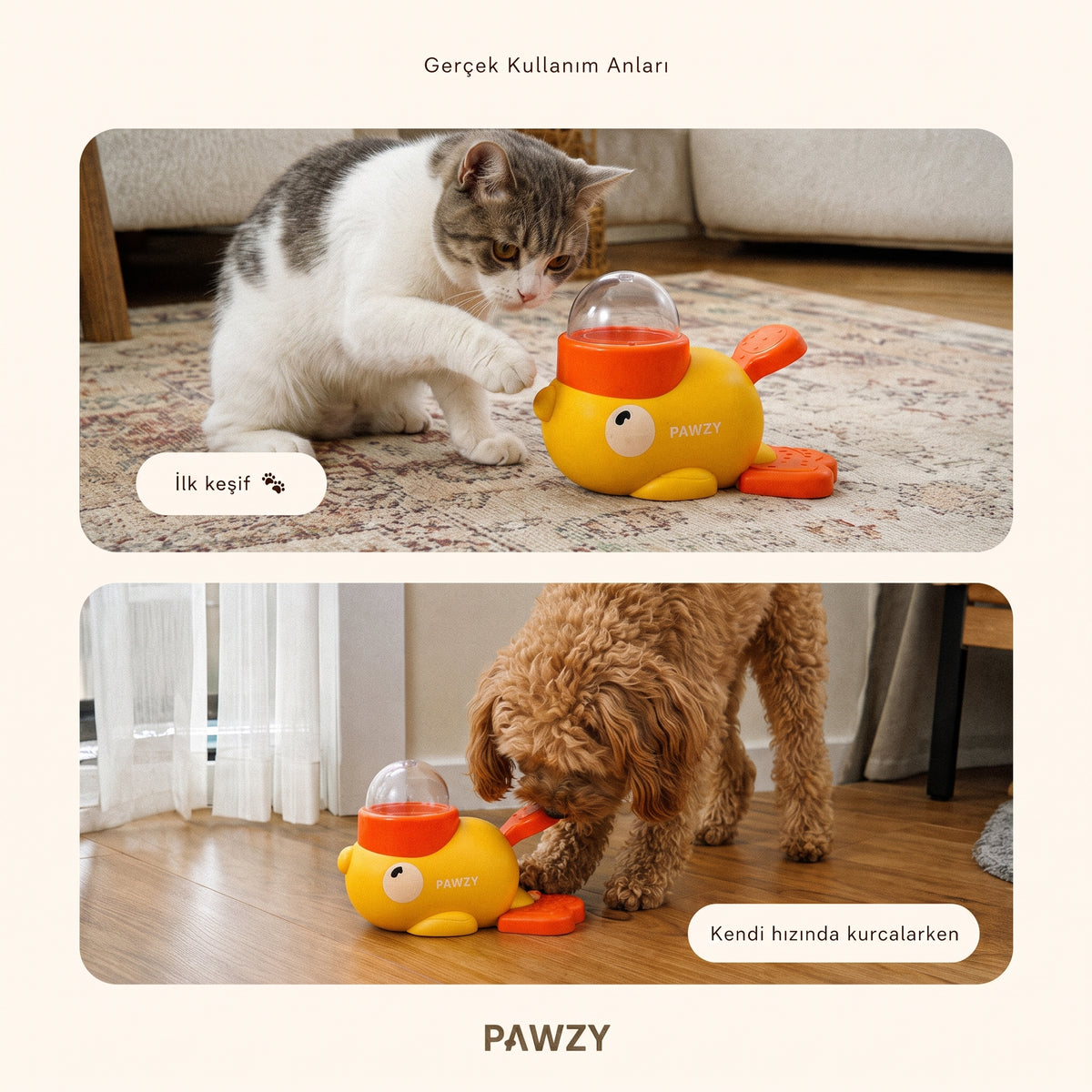 Pawzy™ Yavaş Beslenme Ünitesi