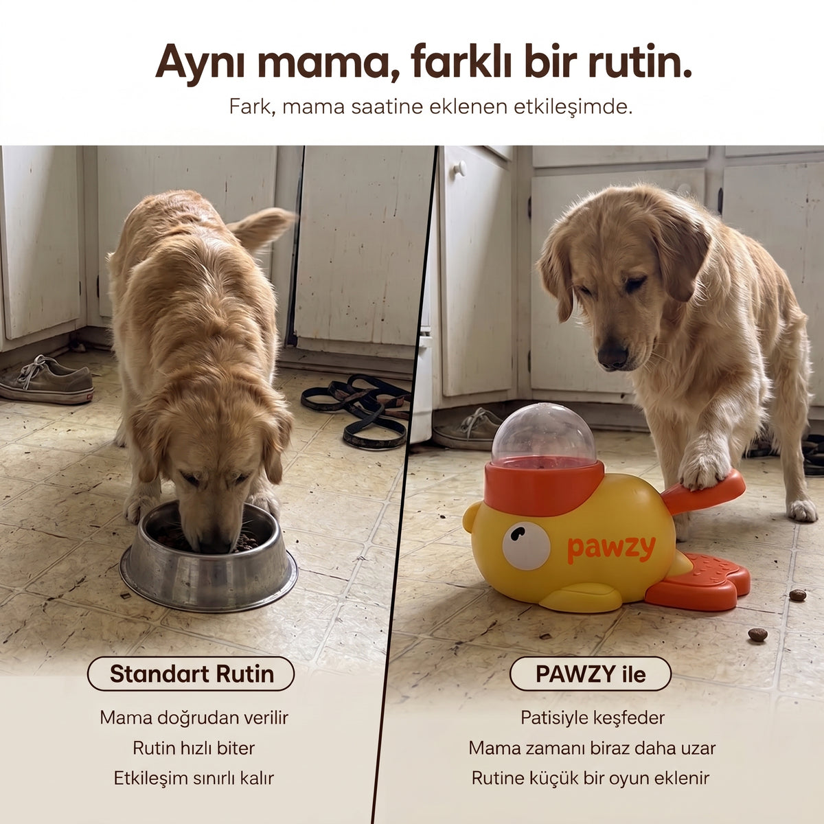 Pawzy™ Yavaş Beslenme Ünitesi